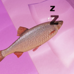 10 players connected (final destination)