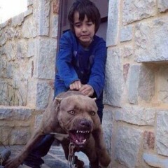 StaFFорд63 - Жду Всех