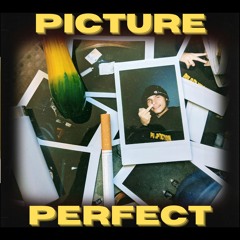 Picture Perfect (prod. by pilotkid)