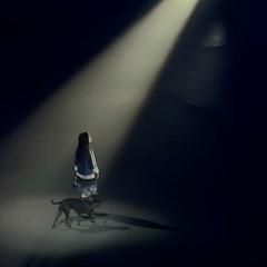 when the party's over - Billie Eilish live in Quebec