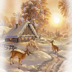 O Freude über Freude