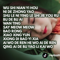 Breakbeat Mandarin Mixtape - Wu Shi Nian Yi Hou