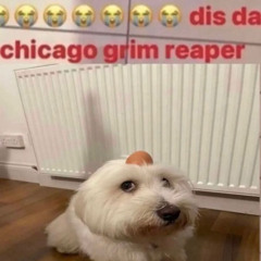 unknown_untitled