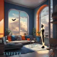 TAFFETA | 170