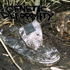 SHITTY GORENOISE