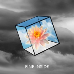 Fine Inside