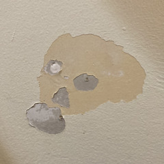 Lead Me To Your Echoes