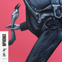 Nphonix 12"edit mix #75