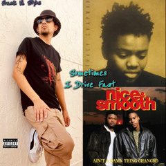 Sometimes I Drive Fast (Sometimes I Rhyme Slow rmx)