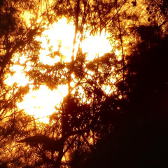 Mean Flow & Marco Lucchi - piano (and keyboards) sketch