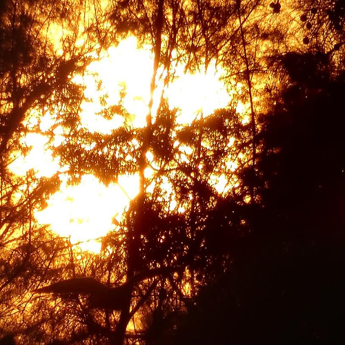 Mean Flow & Marco Lucchi - piano (and keyboards) sketch