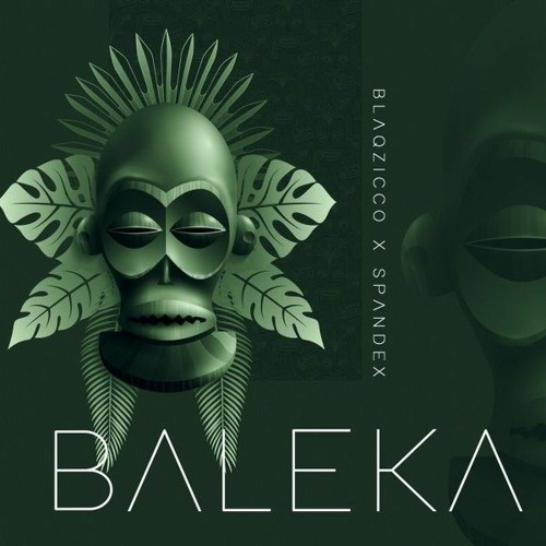 Stream BlaqZicco X Spandex-Baleka mp3 by BlaqZicco | Listen online for free  on SoundCloud