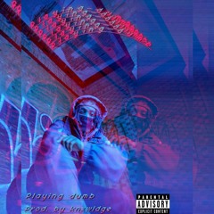 playing dumb (prod. by knxwldge)