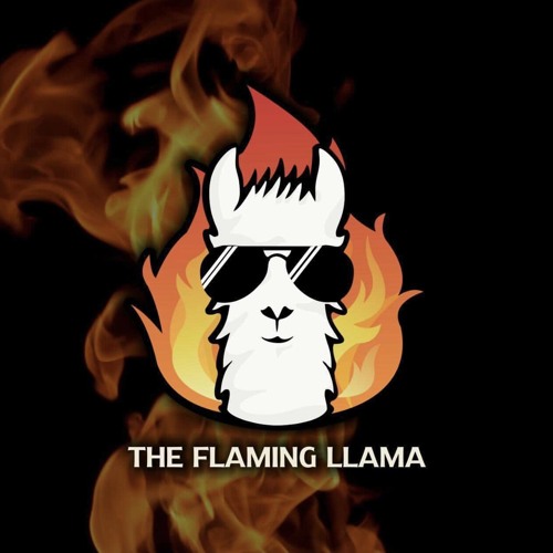 DJ El Nino - Live From The Flaming Llama (Hartford, CT) (7/16/21)