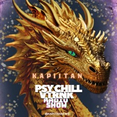 PsyChill VTRNK Radio Show