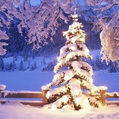 The Christmas Song Cover