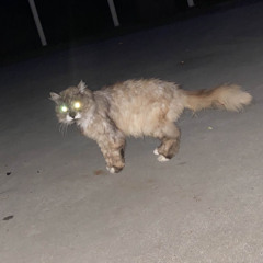 everything is too much