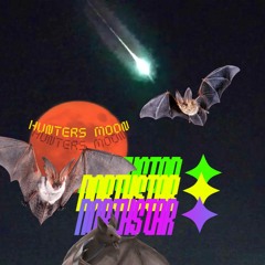 HUNTER'S MOON ✦