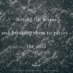 haiku #383: hitting the leaves / and breaking them to pieces / – the cold