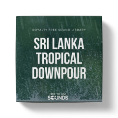 Tropical Rain Downpour Sri Lanka Compilation