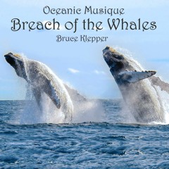 Oceanic Musique - Breach Of The Whales