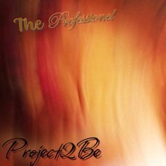The Professional