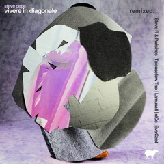 PREMIERE149 // Steve Pepe - Vivere In Diagonale (Stevie R & Parisinos Remix)
