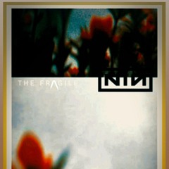 Nine Inch Nails - Where Is Everybody? (Deconstructed Remix by D/\F)