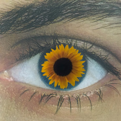 // little sun //