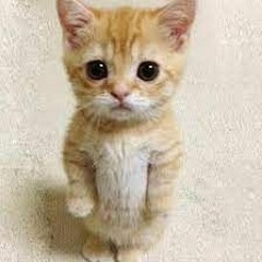 songs i like (including mine)