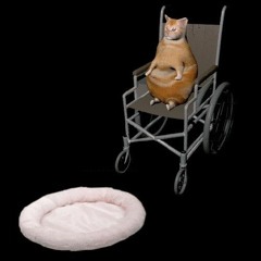 Brain Stew x Warning Acoustic Mashup