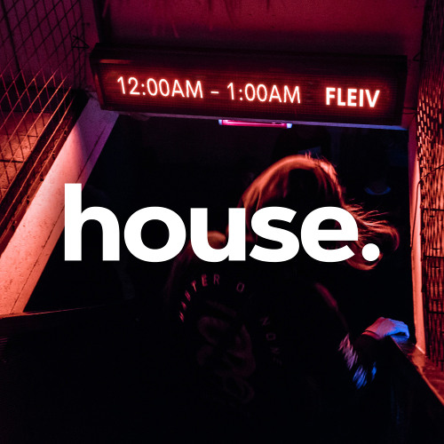 Vibey Deep House Mix 2025 | Mix by FLEIV | Selected Mix | Deep House Mix | Ibiza Deep House | Hits 3