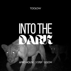 "INTO THE DARK" Afro House,  3 Step & Gqom Mix by TOOLOW