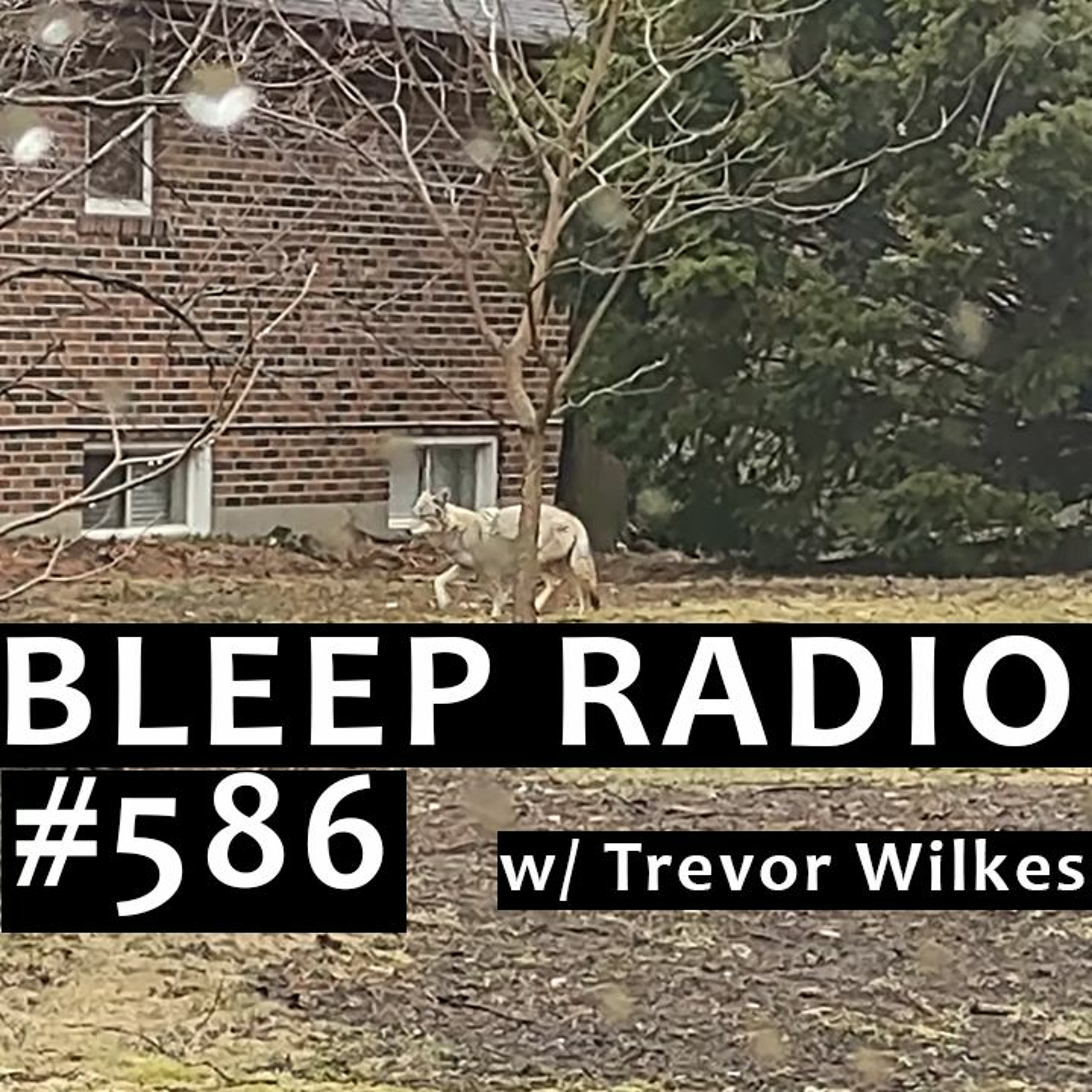 Bleep Radio w/ Trevor Wilkes