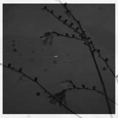 Live at SIGNALS — Kent St, Melbourne / 27 August 2025