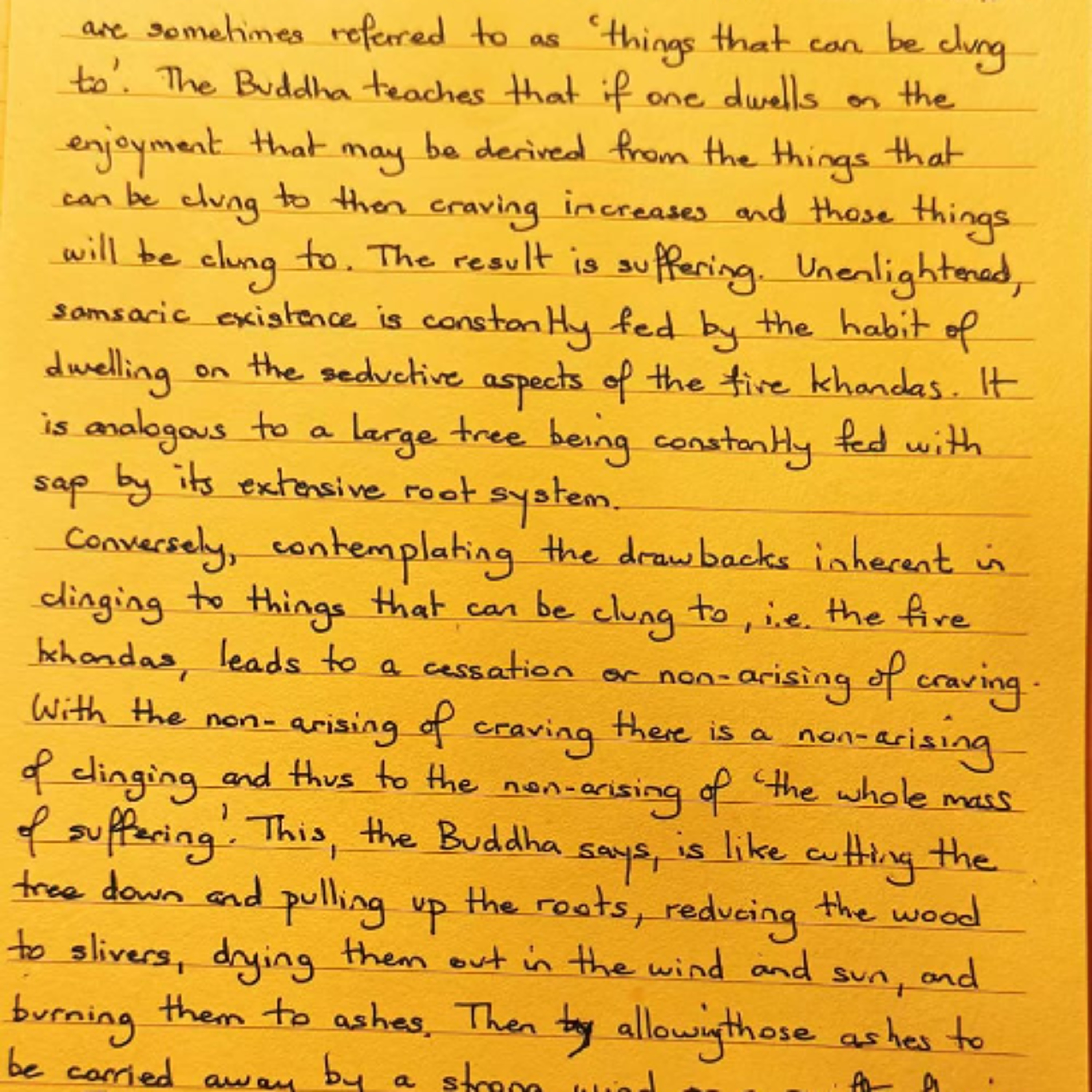 Nutrimento del Cuore - Foglietto Giallo dell'11 ottobre 2025 sull'esperienza che abbiamo del mondo