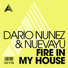 Dario Nunez, Nuevayu - Fire In My House