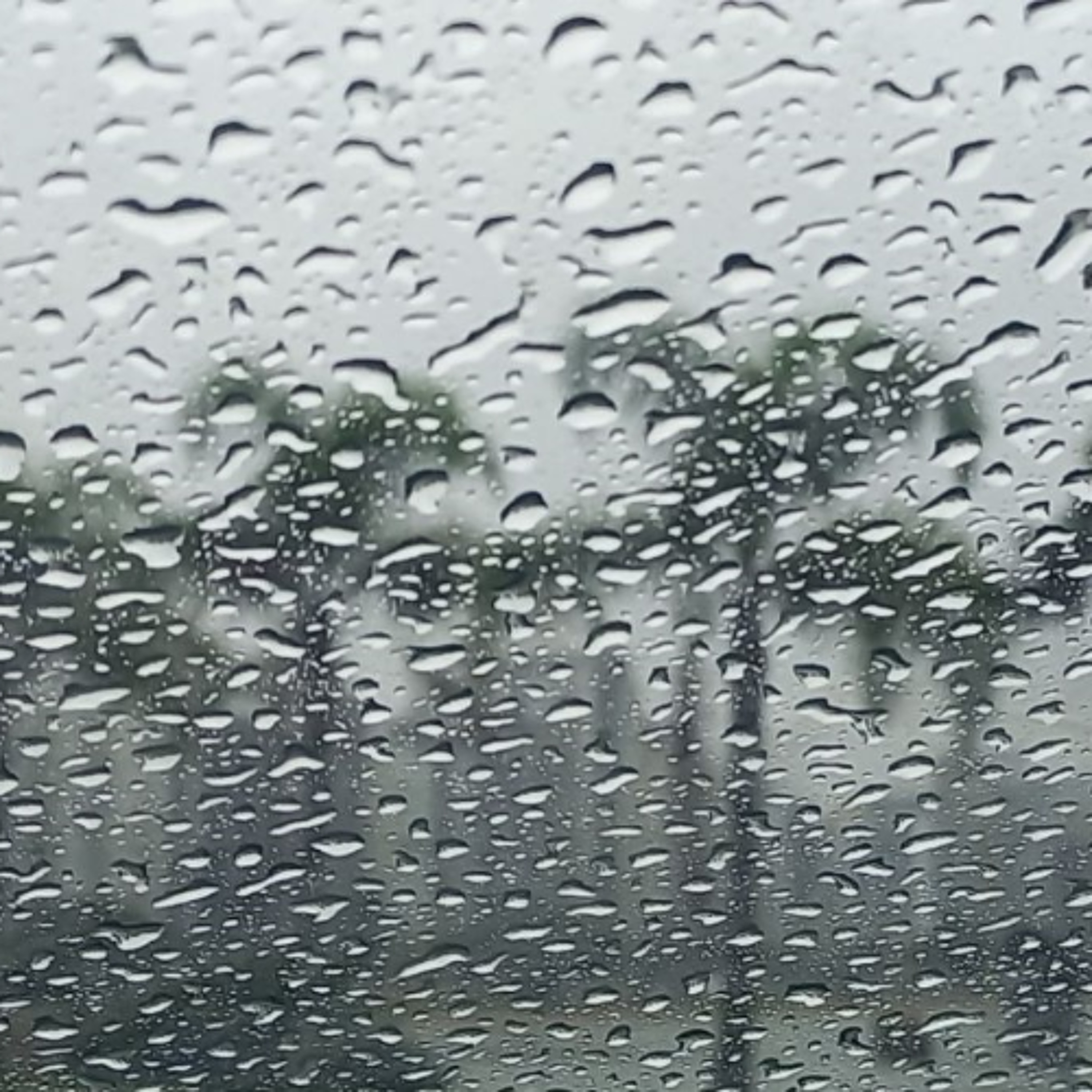 Rádio Cruz de Malta FM 89,9