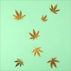 Hype Williams - Untitled 3