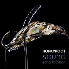 Honeyroot - State Of Mind (Dave Graham Remix)