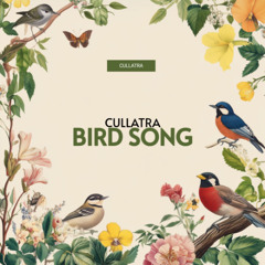 CULLATRA  - Birdsong