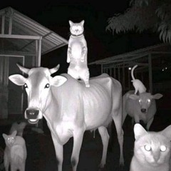 Lil Mabu - PLEDGE (Bass Boosted)