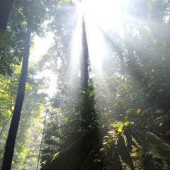 Nov 2025 pt 2 w/cprcash, dec, bxxngan, burnt, 1plugsoon, sunsuu and others