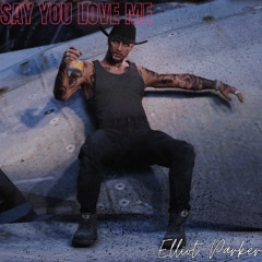 Say You Love Me