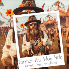Farmer K's Wub Hole (Electric Forest 2024 Afters) - Gnomadixx