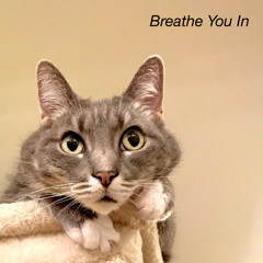 Breathe You In (Instrumental)