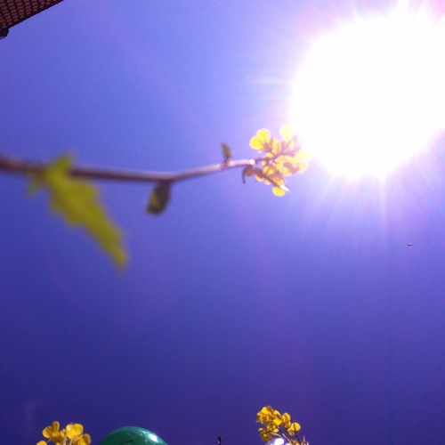 deceleration     8   ++++