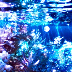 Shyntwirl - Pacific Reef