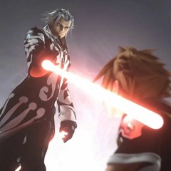 vs Xemnas [2018]