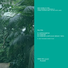 PREMIERE: Palitra - Foreign [Thousand Kisses Place]
